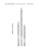 CROSS PRIMINGAMPLIFICATION OF TARGET NUCLEIC ACIDS diagram and image