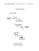 CROSS PRIMINGAMPLIFICATION OF TARGET NUCLEIC ACIDS diagram and image