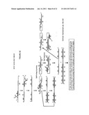 CROSS PRIMINGAMPLIFICATION OF TARGET NUCLEIC ACIDS diagram and image