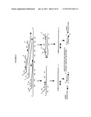 CROSS PRIMINGAMPLIFICATION OF TARGET NUCLEIC ACIDS diagram and image