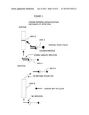 CROSS PRIMINGAMPLIFICATION OF TARGET NUCLEIC ACIDS diagram and image