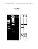 CROSS PRIMINGAMPLIFICATION OF TARGET NUCLEIC ACIDS diagram and image