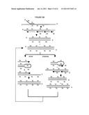 CROSS PRIMINGAMPLIFICATION OF TARGET NUCLEIC ACIDS diagram and image