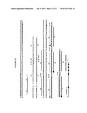 CROSS PRIMINGAMPLIFICATION OF TARGET NUCLEIC ACIDS diagram and image