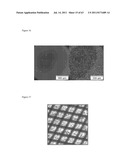 ARTIFICIAL IMMUNE SYSTEM: METHODS FOR MAKING AND USE diagram and image