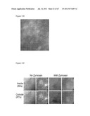 ARTIFICIAL IMMUNE SYSTEM: METHODS FOR MAKING AND USE diagram and image