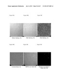 ARTIFICIAL IMMUNE SYSTEM: METHODS FOR MAKING AND USE diagram and image