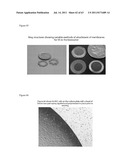 ARTIFICIAL IMMUNE SYSTEM: METHODS FOR MAKING AND USE diagram and image