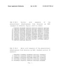 METHOD FOR PRODUCING L-PHENYLEPHRINE USING AN ALCOHOL DEHYDROGENASE OF     AROMATOLEUM AROMATICUM EBN1 (AZOARCUS SP. EBN1) diagram and image