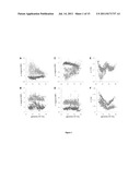 PROTEIN ENGINEERING diagram and image