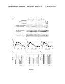 PROTEIN ENGINEERING diagram and image