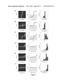 PROTEIN ENGINEERING diagram and image