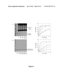 PROTEIN ENGINEERING diagram and image