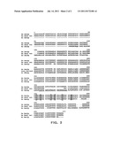 TARGETING ENZYMES OF THE tRNA SPLICING PATHWAY FOR IDENTIFICATION OF     ANTI-FUNGAL AND/OR ANTI-PROLIFERATIVE MOLECULES diagram and image