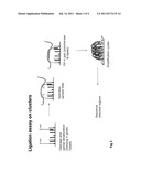 NUCLEIC ACID SAMPLE ENRICHMENT FOR SEQUENCING APPLICATIONS diagram and image