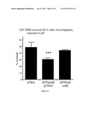 METHOD OF MODULATING CELL SURVIVAL AND REAGENTS USEFUL FOR SAME diagram and image