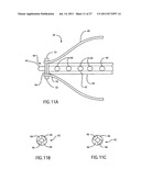 Embolic Protection Device Having Expandable Trap diagram and image