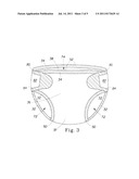 Disposable Absorbent Article Having Side Panels with Structurally,     Functionally and Visually Different Regions diagram and image