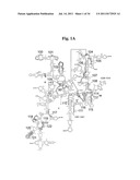 Secondary Structure Defining Database And Methods For Determining Identity     And Geographic Origin Of An Unknown Bioagent Thereby diagram and image