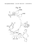 Secondary Structure Defining Database And Methods For Determining Identity     And Geographic Origin Of An Unknown Bioagent Thereby diagram and image