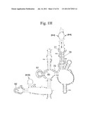 Secondary Structure Defining Database And Methods For Determining Identity     And Geographic Origin Of An Unknown Bioagent Thereby diagram and image