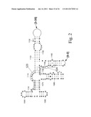 Secondary Structure Defining Database And Methods For Determining Identity     And Geographic Origin Of An Unknown Bioagent Thereby diagram and image