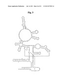 Secondary Structure Defining Database And Methods For Determining Identity     And Geographic Origin Of An Unknown Bioagent Thereby diagram and image