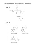 SUBSTRATE FOR BIOCHIP, BIOCHIP, METHOD FOR MANUFACTURING SUBSTRATE FOR     BIOCHIP, AND METHOD FOR MANUFACTURING BIOCHIP diagram and image