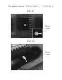 Light emitting device and method of fabricating the  same diagram and image