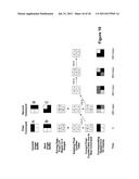 DRIVING METHODS FOR ELECTROPHORETIC DISPLAYS diagram and image