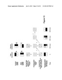 DRIVING METHODS FOR ELECTROPHORETIC DISPLAYS diagram and image