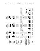 DRIVING METHODS FOR ELECTROPHORETIC DISPLAYS diagram and image