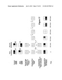 DRIVING METHODS FOR ELECTROPHORETIC DISPLAYS diagram and image