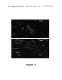 STABLE NANOEMULSIONS FOR ULTRASOUND-MEDIATED DRUG DELIVERY AND IMAGING diagram and image