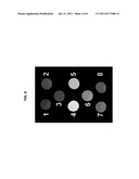 PARAMAGNETIC METAL-NANODIAMOND CONJUGATES diagram and image