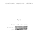 DITHIAZOLIDINE AND THIAZOLIDINE DERIVATIVES AS ANTICANCER AGENTS diagram and image