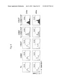 METHOD FOR SELECTIVE DEPLETION OF CD137 POSITIVE CELLS USING ANTI-CD137     ANTIBODY-TOXIN COMPLEX diagram and image