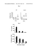 MYCOBACTERIUM TUBERCULOSIS VACCINE diagram and image