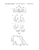 MYCOBACTERIUM TUBERCULOSIS VACCINE diagram and image