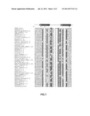 Recombinant Live Attenuated Foot-and-Mouth Disease (FMD) Vaccine     Containing Mutations in the L Protein Coding Region diagram and image