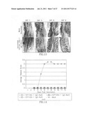 HSV-1 AND HSV-2 VACCINES AND METHODS OF USE THEREOF diagram and image