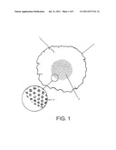 MICROENCAPSULATED DELIVERY SYSTEM diagram and image