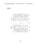 ELECTROCHEMICAL REACTOR, METHOD FOR MANUFACTURING THE ELECTROCHEMICAL     REACTOR,  GAS DECOMPOSING ELEMENT, AMMONIA DECOMPOSING ELEMENT, AND POWER     GENERATOR diagram and image