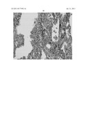 METHOD OF CLASSIFYING CHEMICALLY CROSSLINKED CELLULAR SAMPLES USING MASS     SPECTRA diagram and image