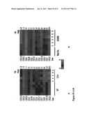 METHODS FOR DETECTING INFLAMMATORY BOWEL DISEASE diagram and image