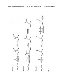 UNIVERSAL METHYLATION PROFILING METHODS diagram and image