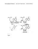 UNIVERSAL METHYLATION PROFILING METHODS diagram and image