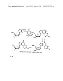 UNIVERSAL METHYLATION PROFILING METHODS diagram and image