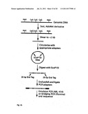 UNIVERSAL METHYLATION PROFILING METHODS diagram and image