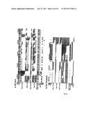 UNIVERSAL METHYLATION PROFILING METHODS diagram and image